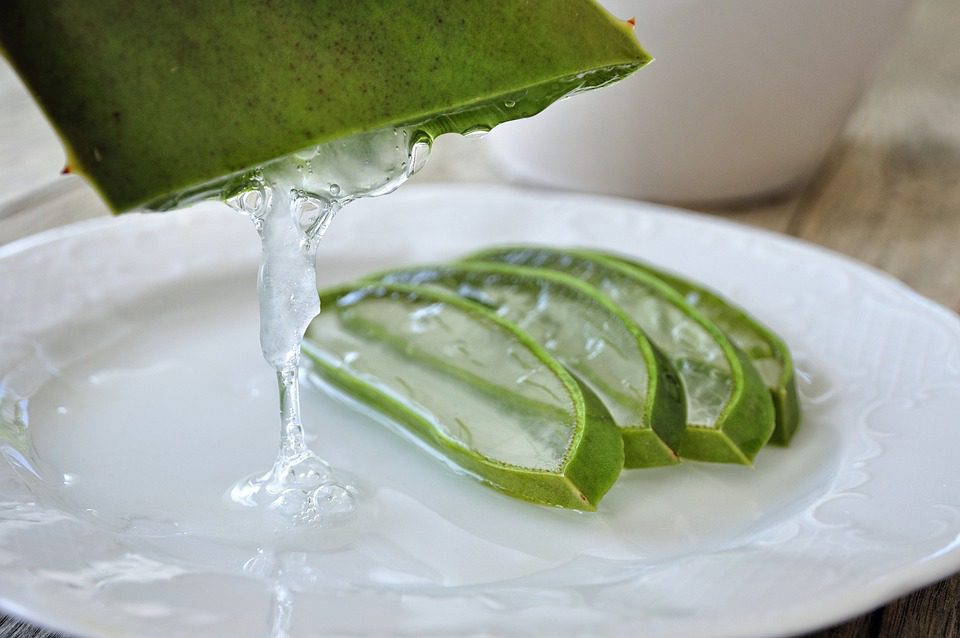 Aloe vera - léčivý poklad přírody