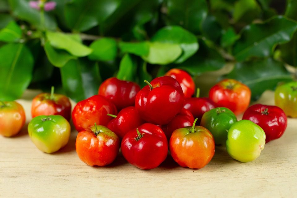 Acerola – plody s vysokým obsahem vitamínu C a mnoha dalších výhod