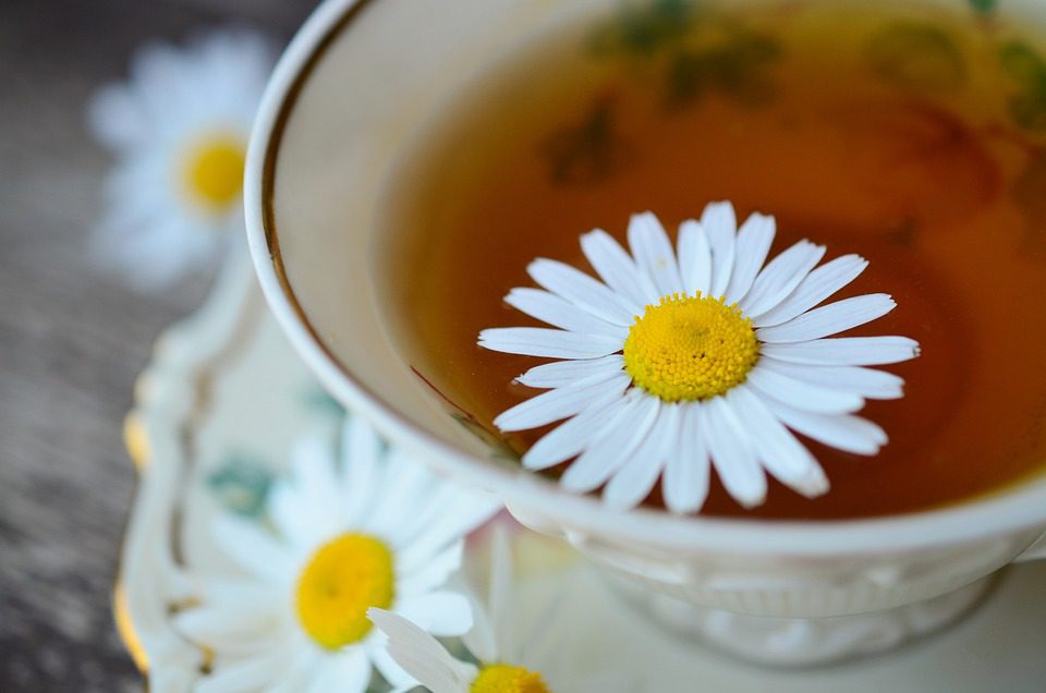 Je heřmánkový čaj dobrý na žaludeční reflux?