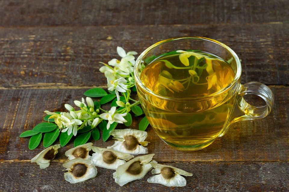 1) Čaj z moringy – zdravotní přínosy a výhody