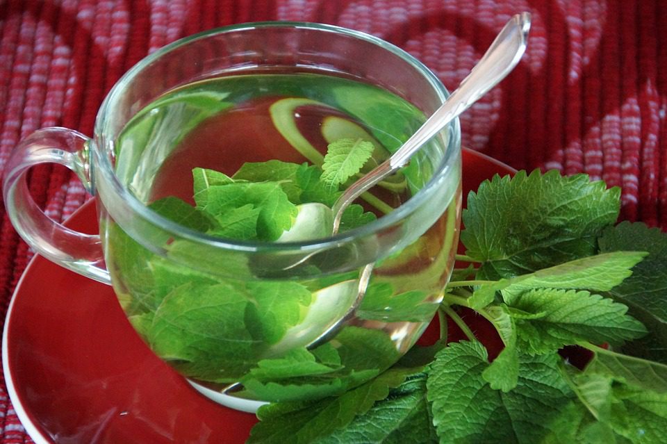 Here are some suggestions for titles in Czech about lemon balm: