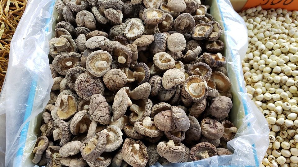 Jak umýt shiitake houby