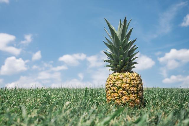 Ananas a erekce: Jak exotické ovoce ovlivňuje sexuální výkon?