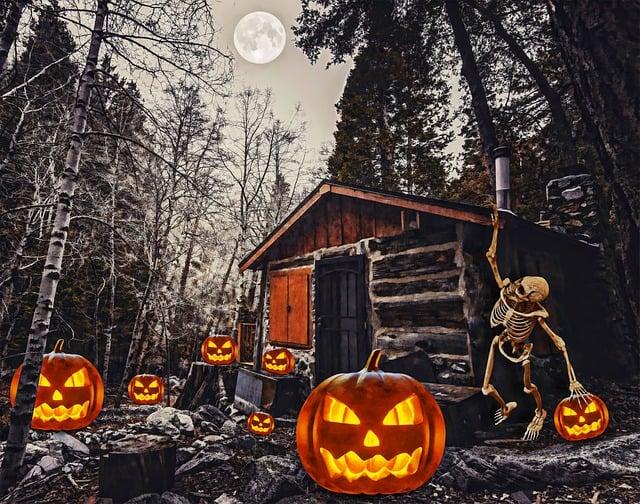 Jak dosáhnout erekce u psa: Přírodní a behaviorální aspekty