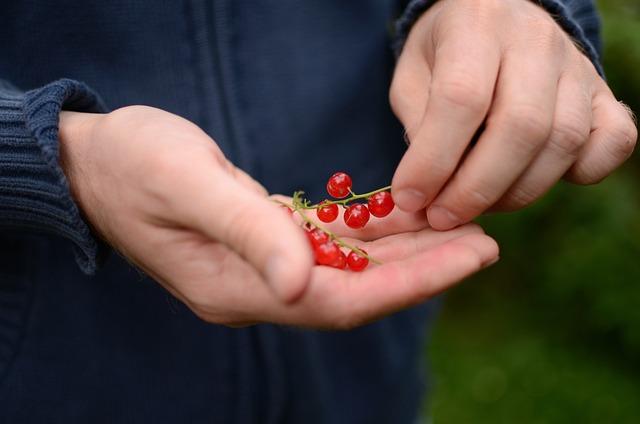 Důležité informace o nákupu Zerexu online