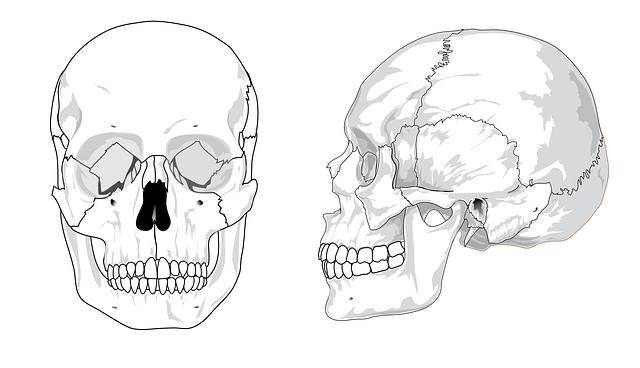 Osteoporóza: jak estrogeny chrání vaše kosti