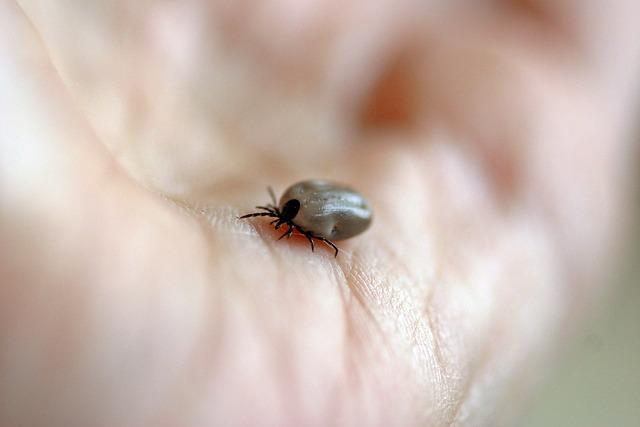 Zdravotní rizika spojená s nepřirozeně vysokou hladinou testosteronu