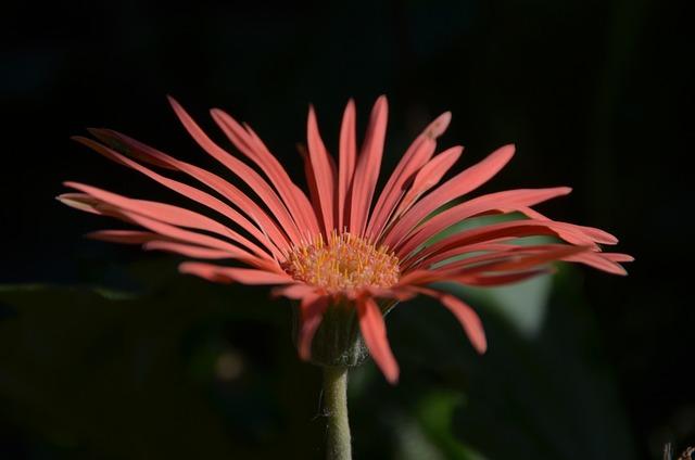 Kdy je vhodné konzultovat s odborníkem?