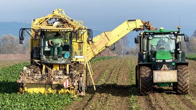 Role životního stylu a stravy při léčbě cukrovky a problémů s erekcí