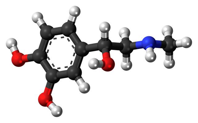 Jak hormon estrogen ovlivňuje ženské tělo